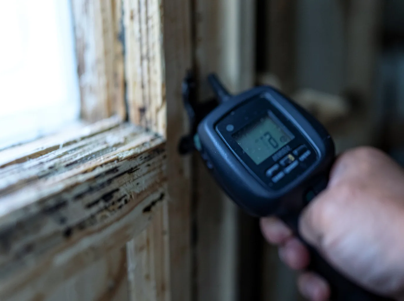 Moisture Inspection And Documentation in Garden Prairie, IL